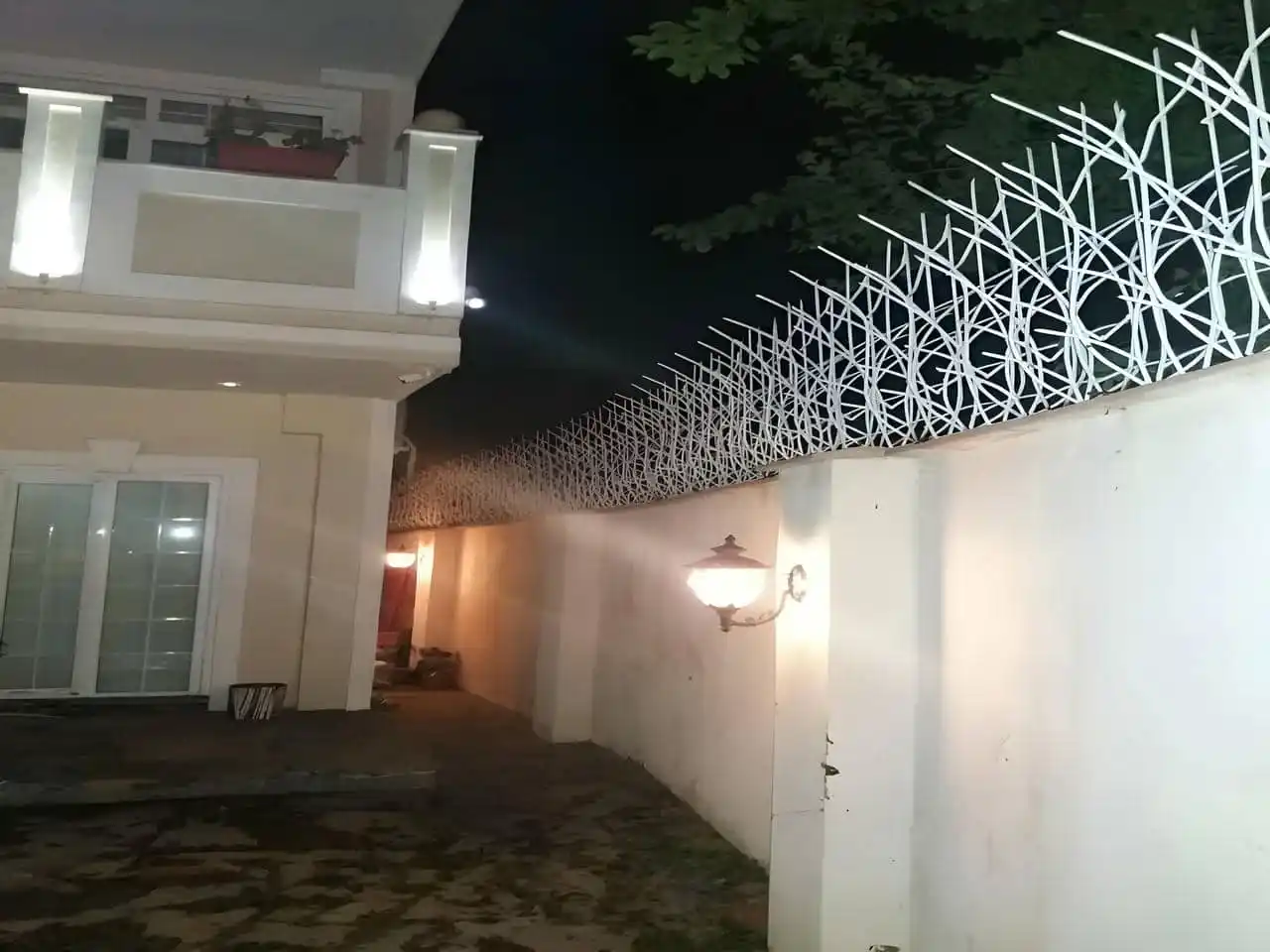 حفاظ شاخ گوزنی در اردکان