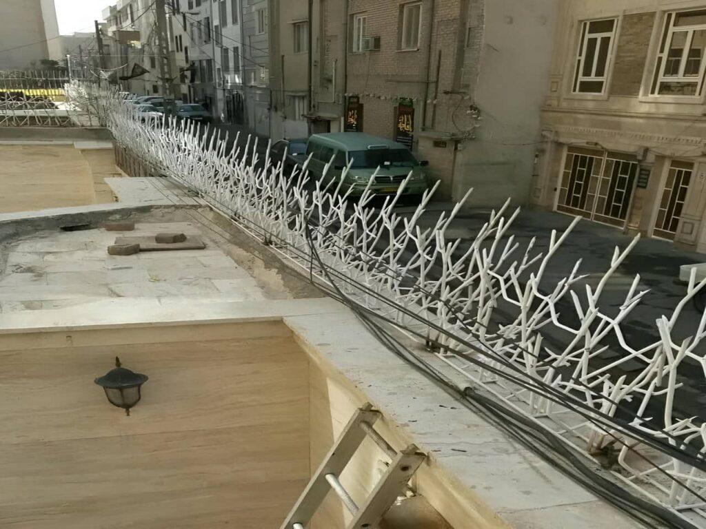 قیمت حفاظ در ابرکوه