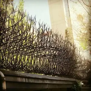 حفاظ بوته ای تراکم 88 در یزد؛ نهایت امنیت و زیبایی برای دیوارهای شهر یزد