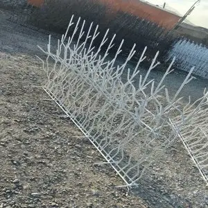 حفاظ شاخ گوزنی تراکم 31 در یزد؛ امنیت ارتقا یافته با طراحی متراکم و استاندارد