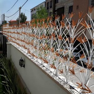 حفاظ لیلیوم در یزد؛ ترکیب زیبایی و امنیت روی دیوار ساختمان