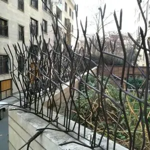 حفاظ شاخ گوزنی در یزد چیست و چه ویژگی هایی دارد؟ حفاظ شاخ گوزنی در یزد چیست و چه ویژگی هایی دارد؟