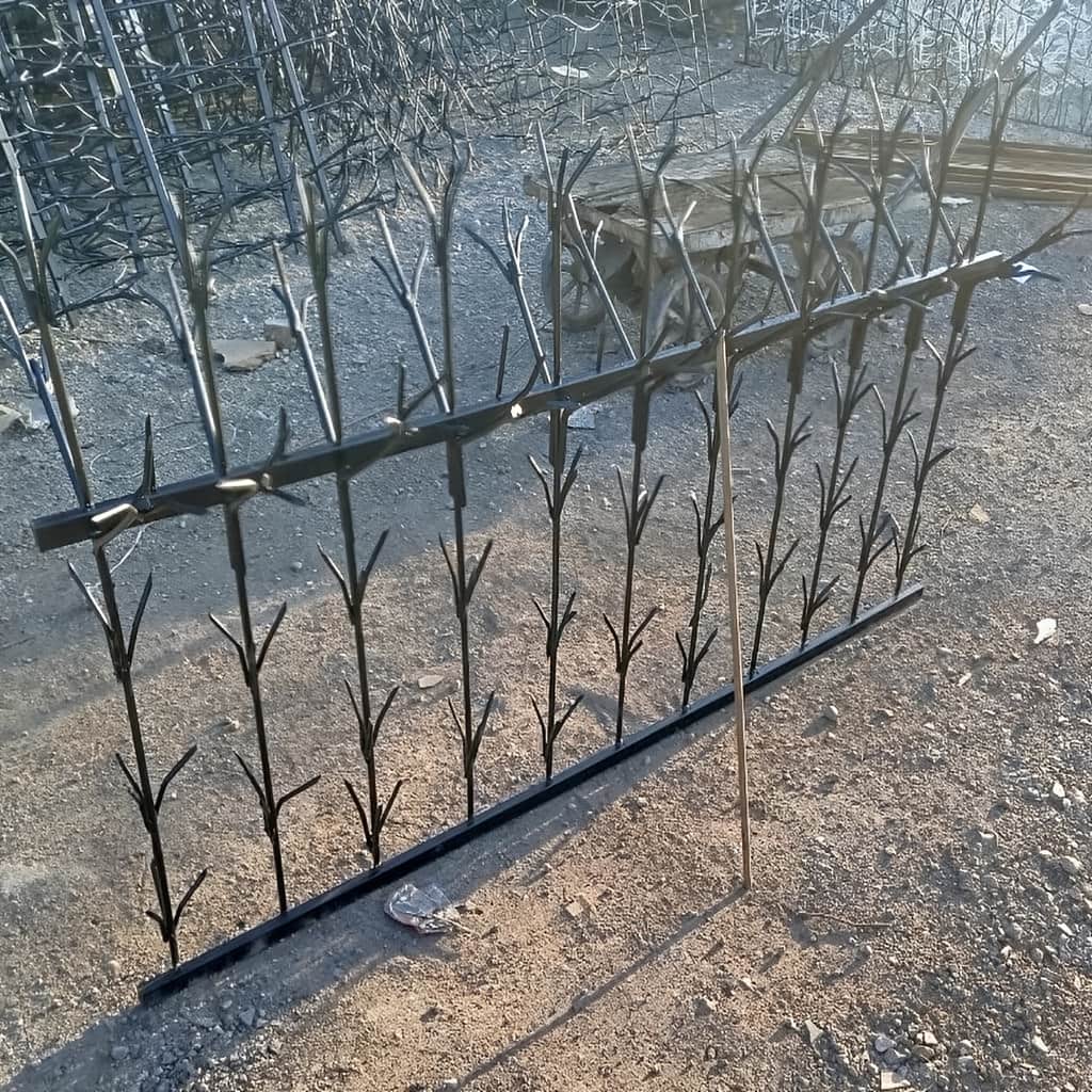 نمای نزدیک گل&zwnj;های تزئینی حفاظ شمشادی در یزد