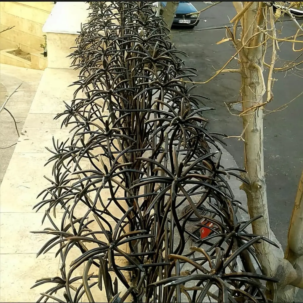 حفاظ نخل مرداب نصب شده روی دیوار ویلا در یزد