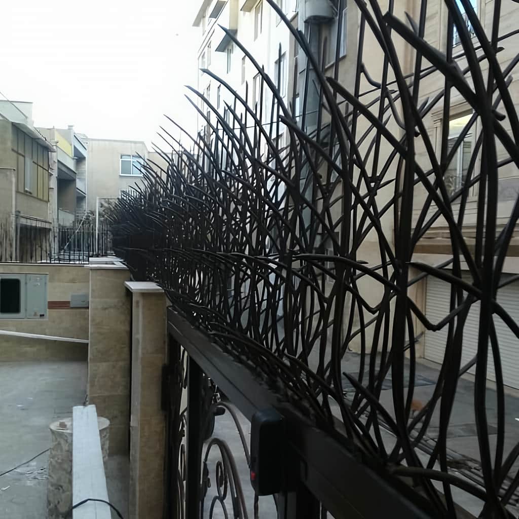 نمای نزدیک شاخه&zwnj;های تیز حفاظ نیزار در یزد