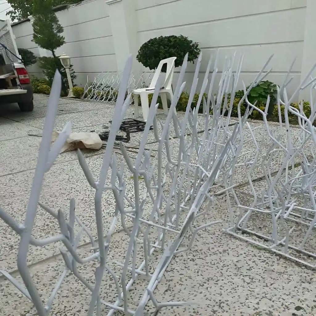 تراکم حفاظ شاخ گوزنی در یزد