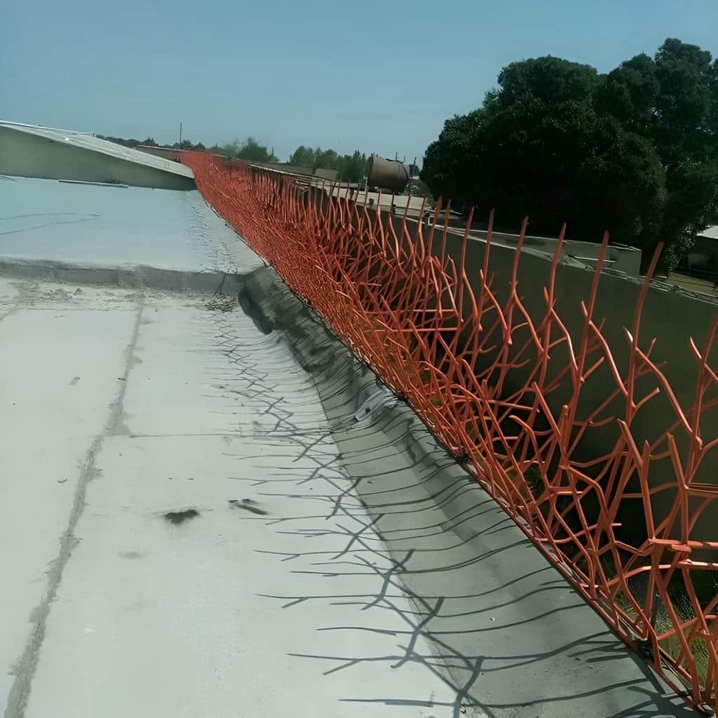 اجرای حفاظ بوته ای پرتراکم روی دیوار ویلا در یزد