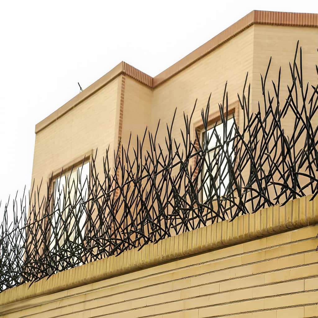 تولید حفاظ بوته ای دیوار با تراکم سفارشی در یزد