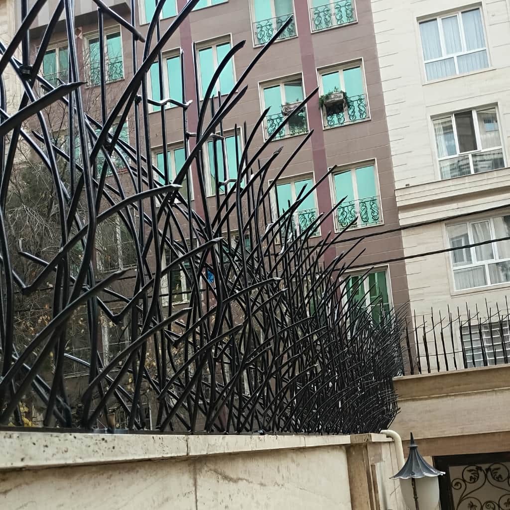 تولید حفاظ نیزار با ارتفاع سفارشی برای باغ در یزد