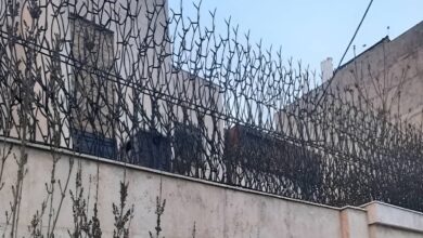 8 مدل حفاظ شاخ گوزنی دیوار باغ ویلا در یزد