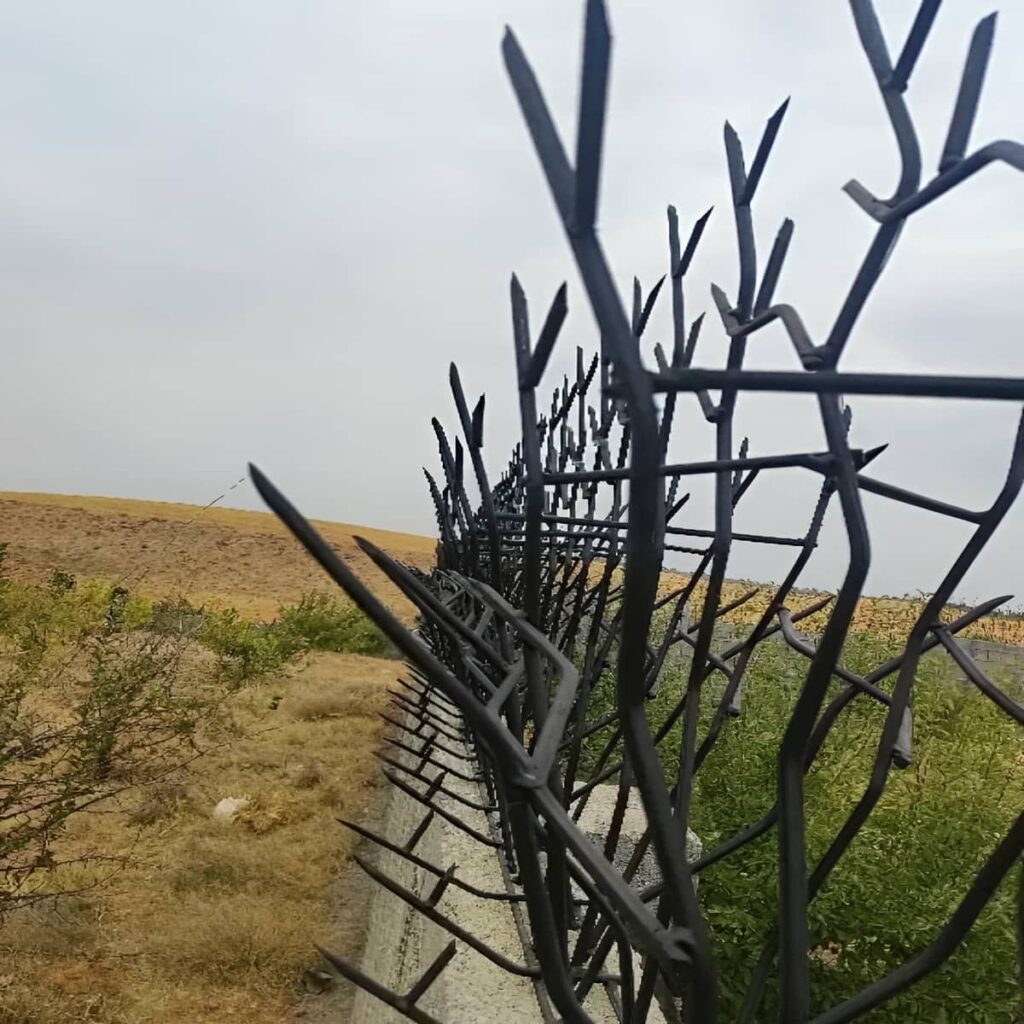 فروش حفاظ شاخ گوزنی با شاخه‌های بلند برای باغ ویلا در یزد