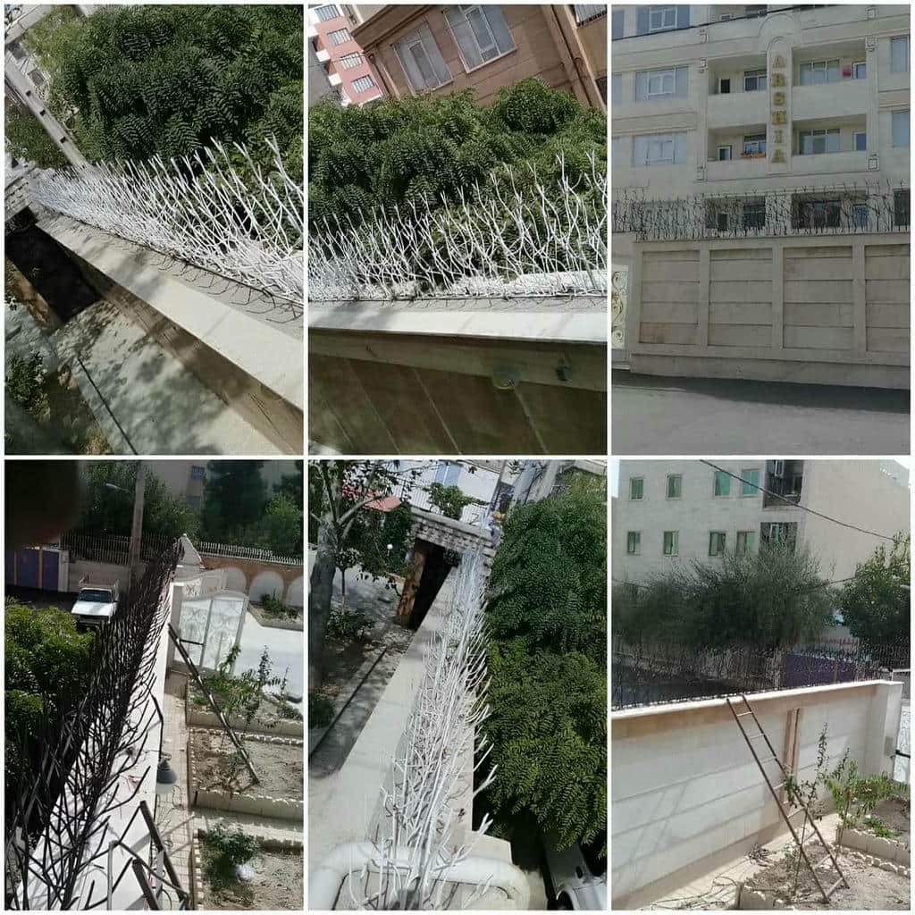 ساخت حفاظ شاخ گوزنی دیوار باغ ویلا با فرم منظم در یزد ساخت حفاظ شاخ گوزنی دیوار باغ ویلا با فرم منظم در یزد