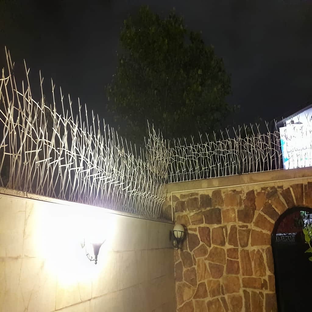 نرده روی دیوار با فرم شاخه ای منظم