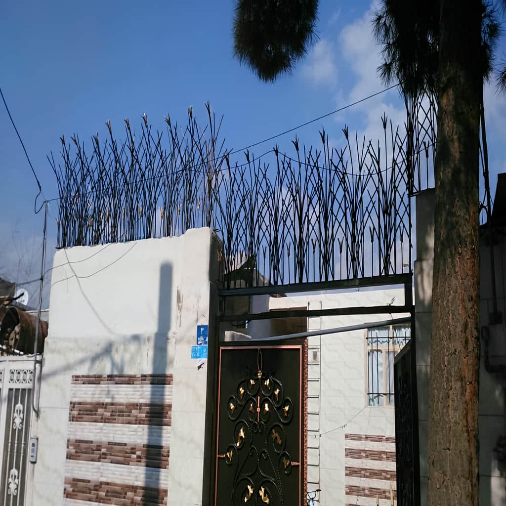 حفاظ غنچه ای رنگ شده کنار نمای ساختمان یزد