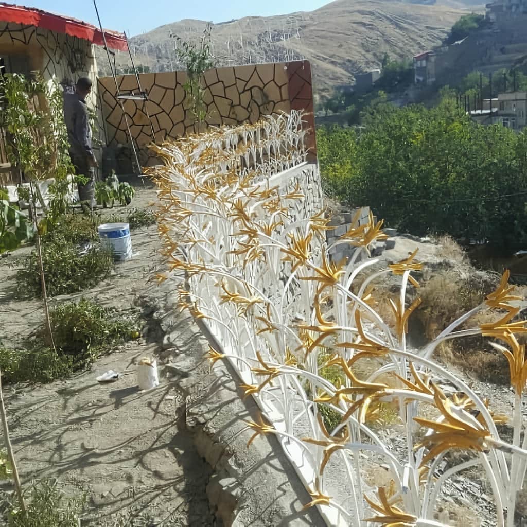 حفاظ غنچه ای متراکم برای محوطه خشک یزد حفاظ غنچه ای متراکم برای محوطه خشک یزد