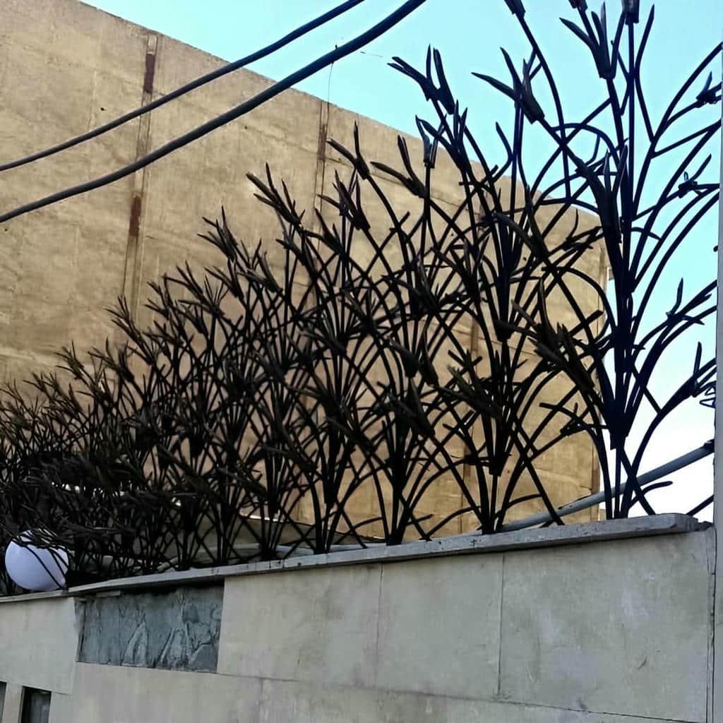 حفاظ لیلیوم مشکی روی دیوار سنگی یزد
